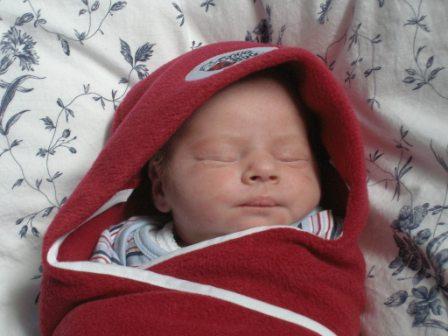 Snug as a bug.JPG
