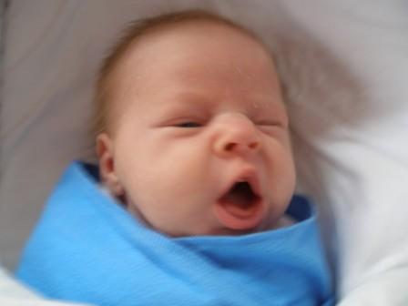 yawn.JPG