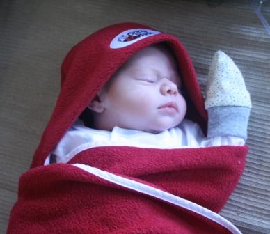 snugbug.JPG